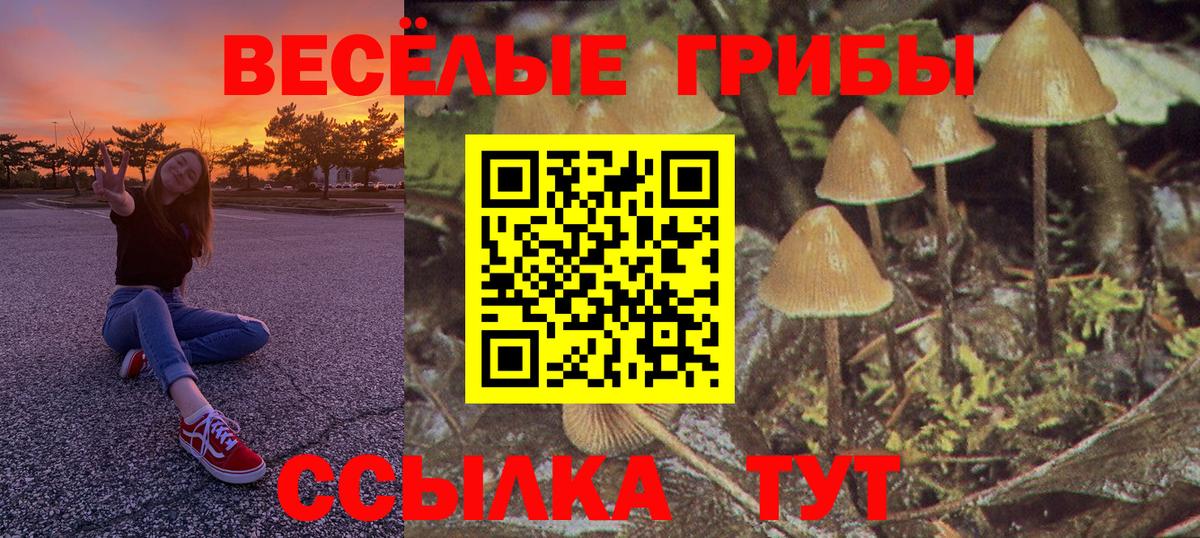 Галлюциногенные грибы Psilocybine cubensis  Вход с VPN  Воркута 